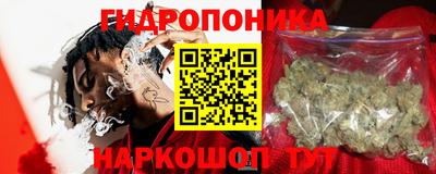 шишки Конаково