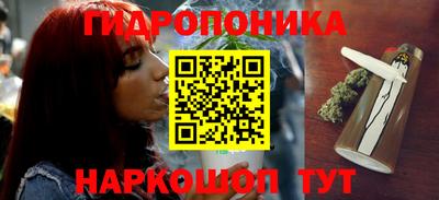 шишки Конаково