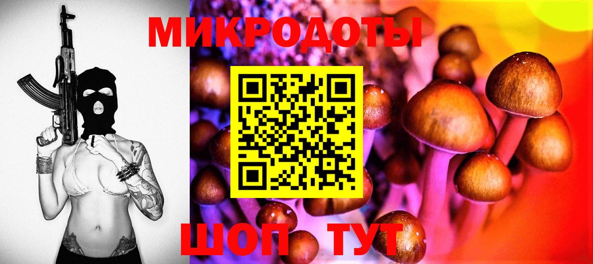 Псилоцибиновые грибы MAGIC MUSHROOMS Котовск